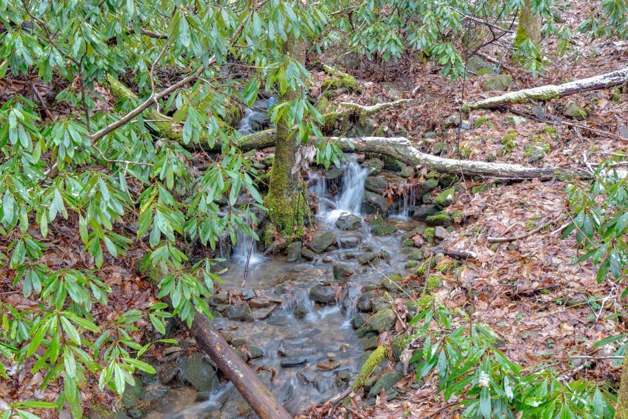 #3685 Brookside Villa Hatchertown Dış mekan fotoğraf
